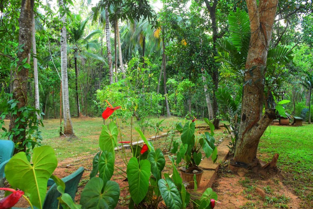 Leesa Villa Safari Resort Udawalawe Esterno foto